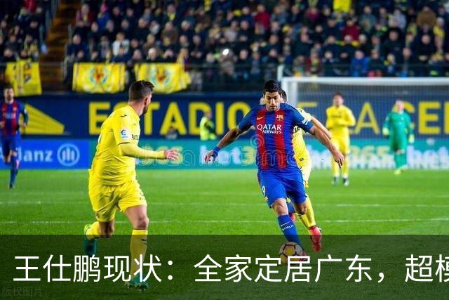 王仕鹏现状：全家定居广东，超模妻子风韵犹存，已是大学副教授